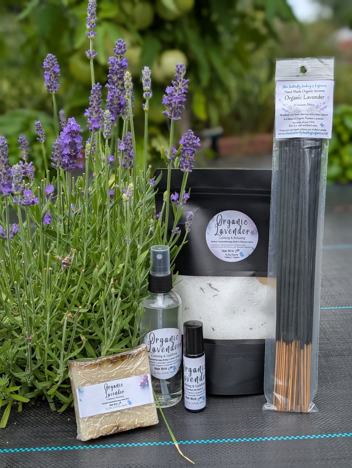 Organic Lavender Body care Collection