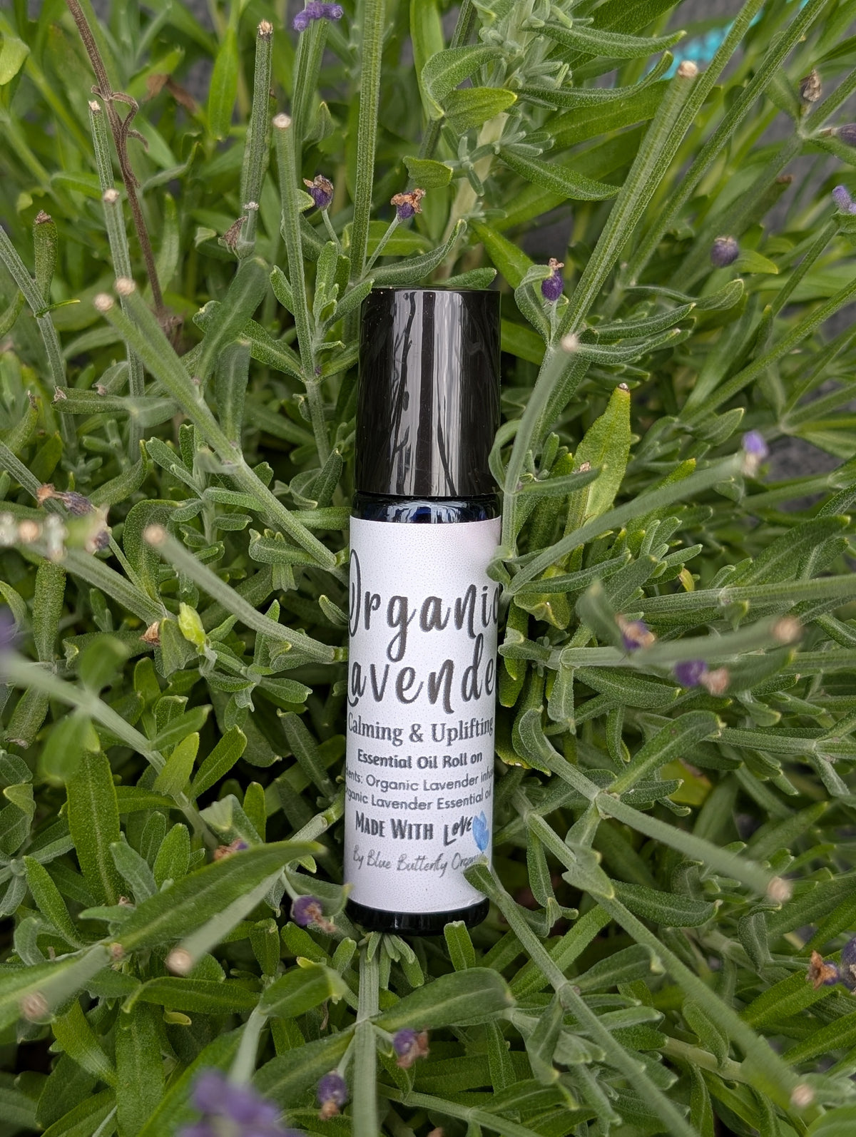Organic Lavender Body care Collection